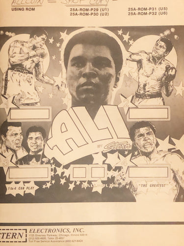 Ali Complete Pinball  Manual Book